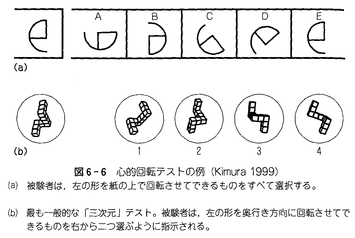 環境心理学 １５回 認知地図 山口先生の心理学教室