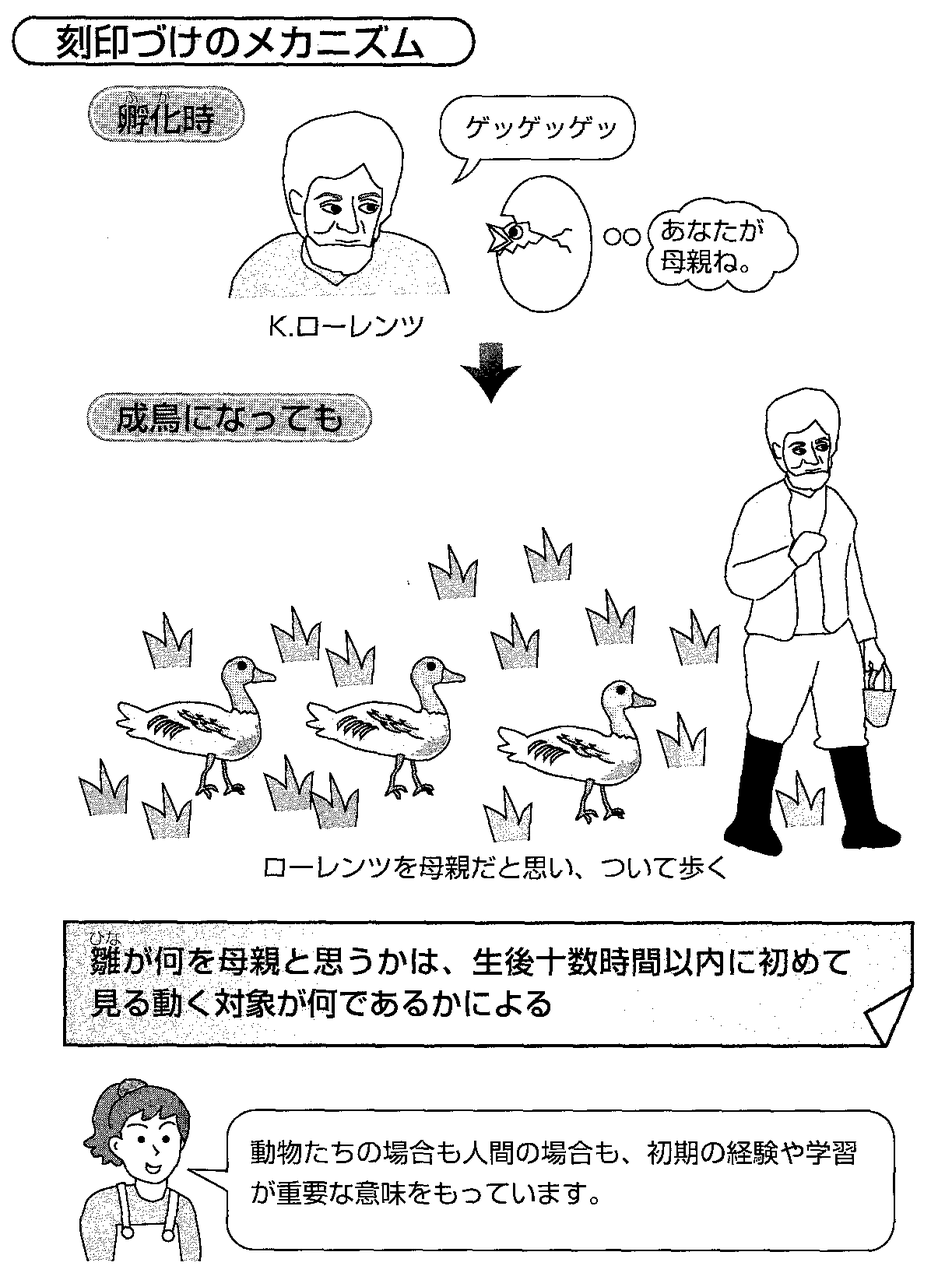 人間発達と初期環境 : 初期環境の貧困に基づく発達遅滞児の長期追跡研究 人間発達と初期環境 : 初期環境の貧困に基づく発達遅滞児の長期
