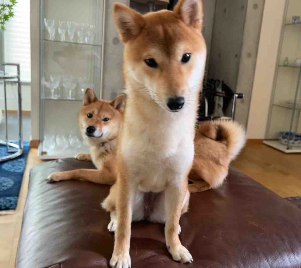 FullSizeRender