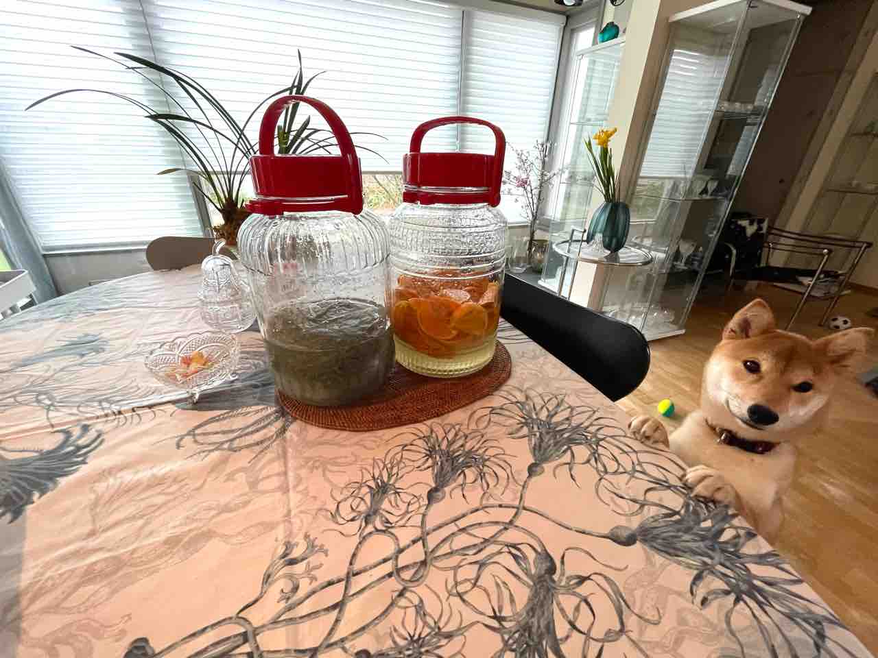 FullSizeRender