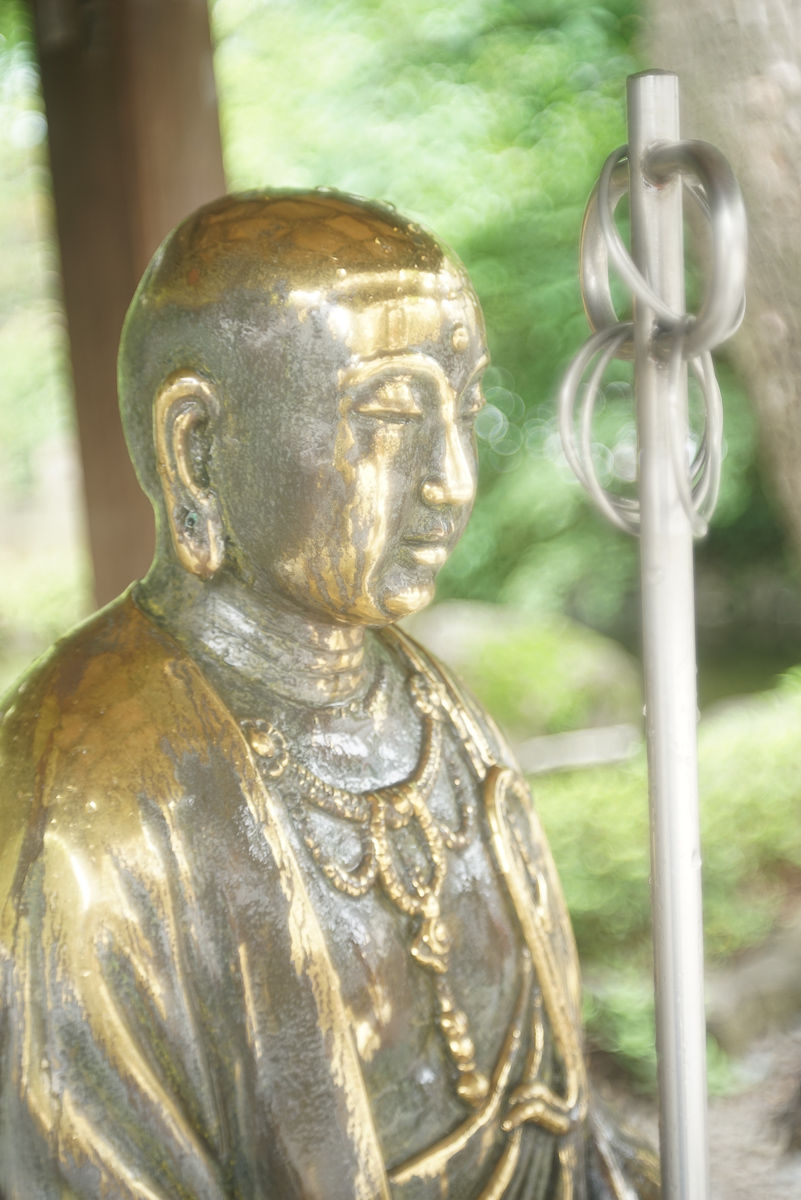 レンズレビュー】Steinheil München EDIXA-Auto-Cassaron 50mm/F2.8