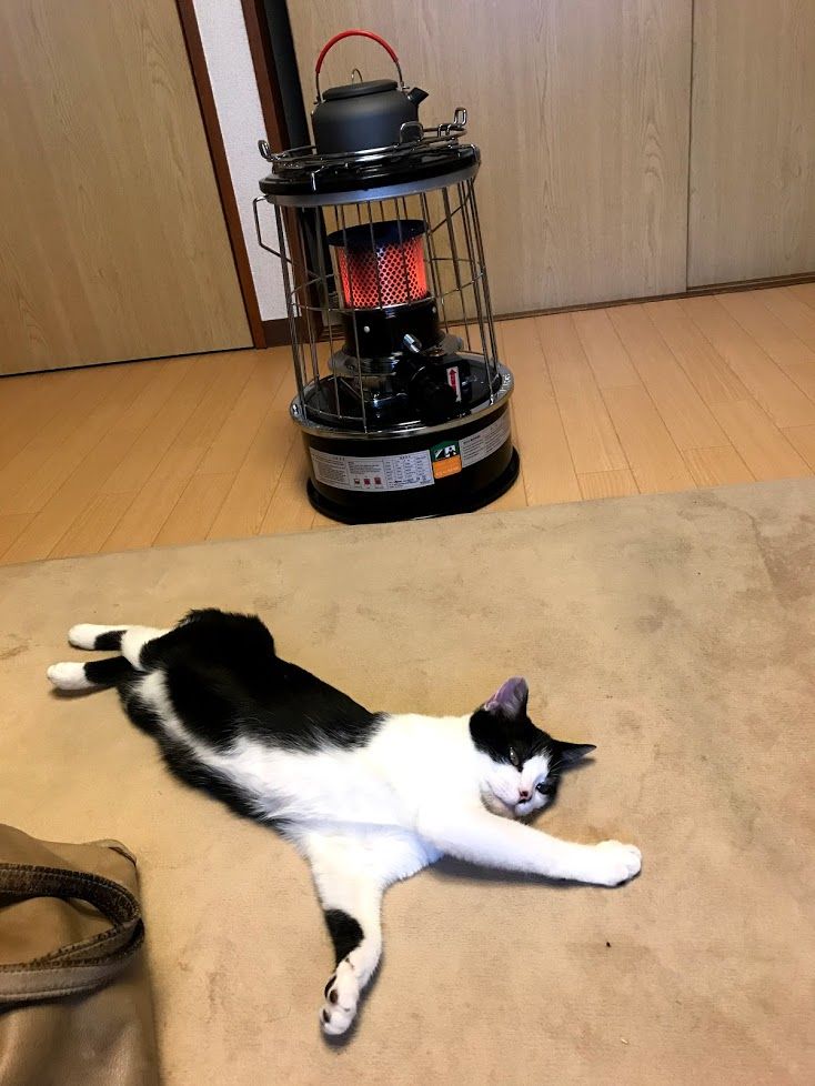 買ってよかったキャンプギア アルパカストーブ 編 たきびねこのつめとぎキャンプ