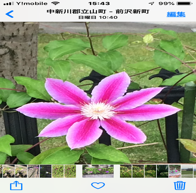 植物 花 トレッキング 中級グルメ音楽と歴史の散歩 カフカフドゴシコ