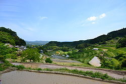 田舎のイオンに絶対入ってる店がこちらｗｗｗｗｗ