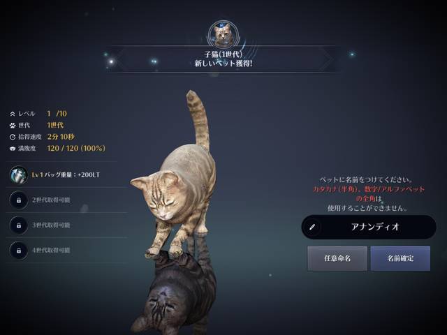 黒い砂漠mobile パール箱 ペット購入 一日一記事