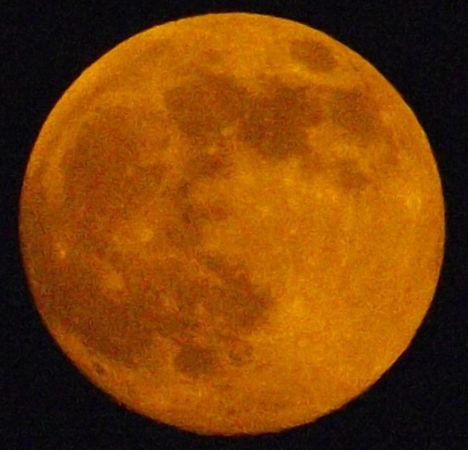 くそう 河野 脳梗塞 くそうこうののうこうそく たわごと 人間万事最後はイカ ルーデンス くコ 彡