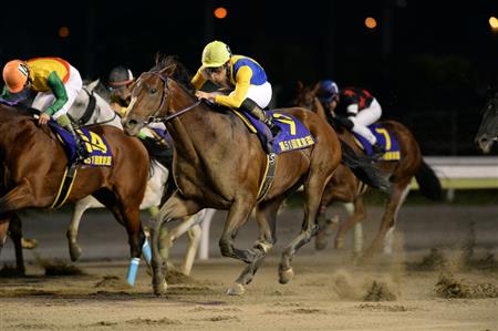 【競馬予想】[1]第18回JBCスプリント(Jpn1) /2018