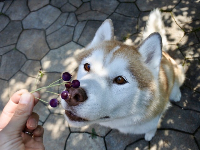 05E0A433-3475-4A57-B68E-608AF3208659