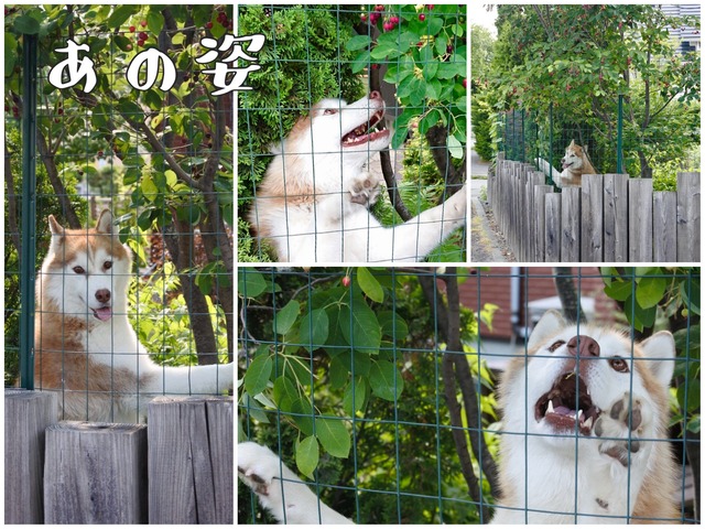 4D42A76A-4590-456B-8B96-FED398D1B639