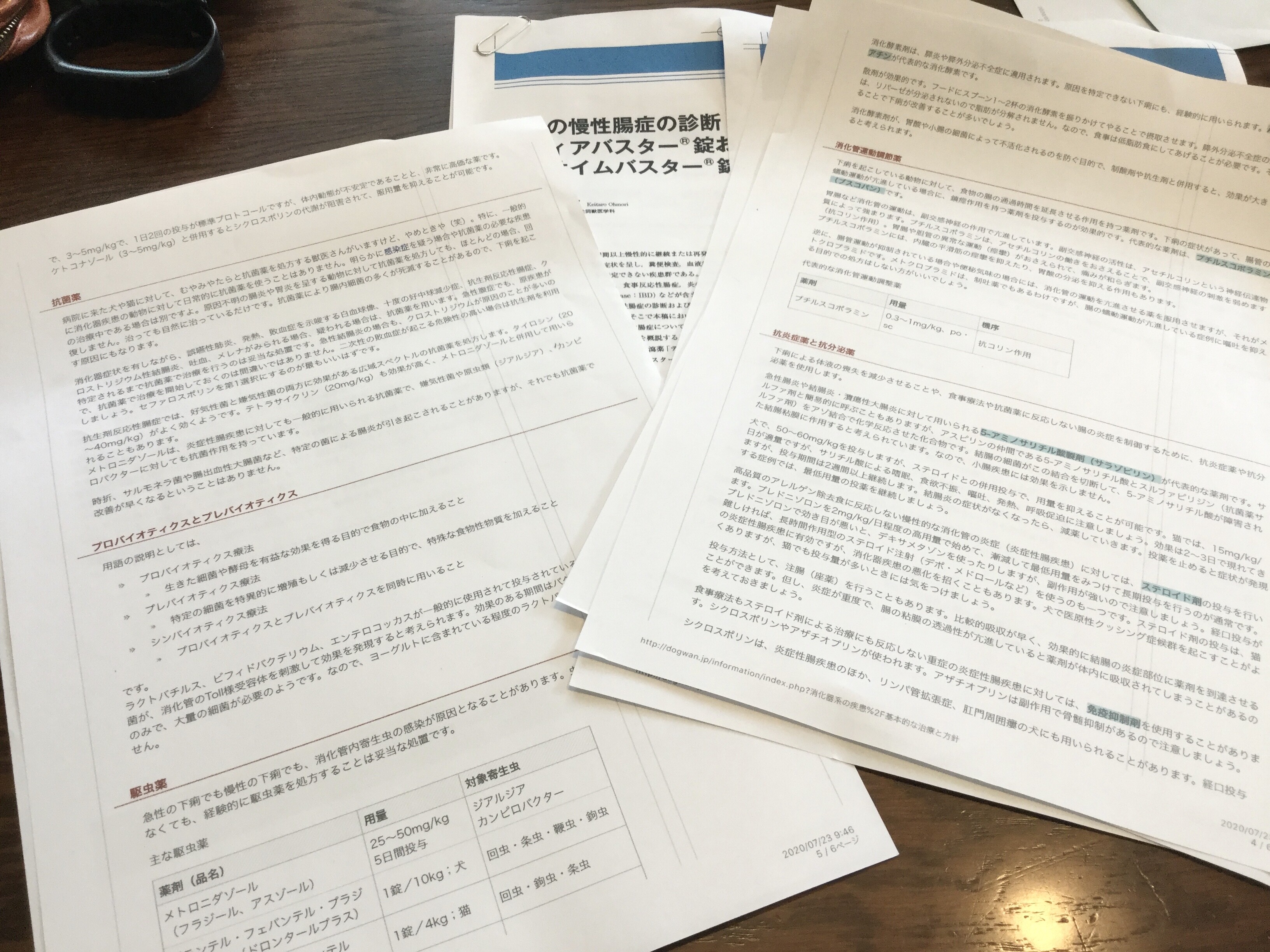 経過記録 タロンタロン物語 経過記録 タロンタロン物語