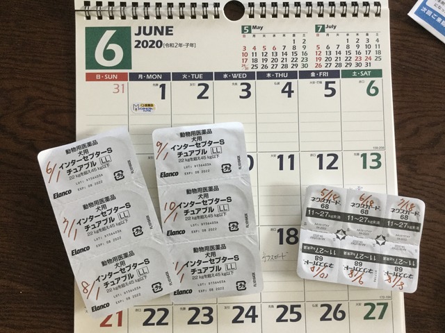 C1AB6F7A-CD26-4DE8-B29D-A199D07E335B