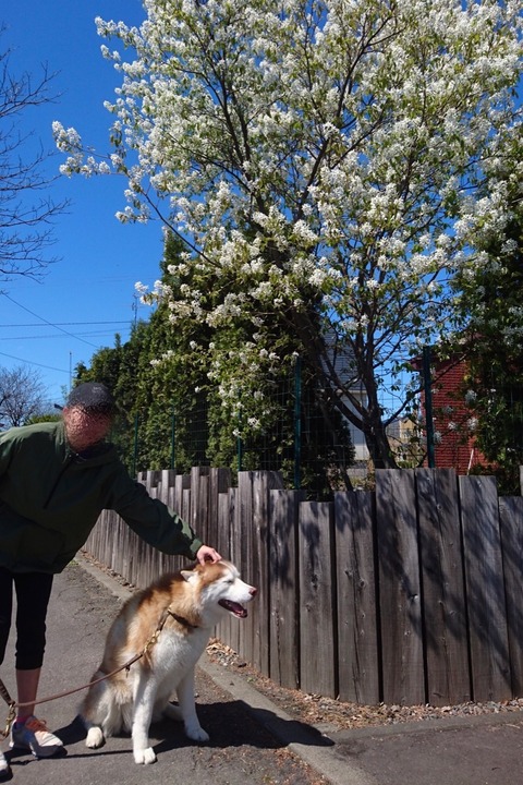 2F462423-A9E8-468E-9E01-7D5D428B9D88