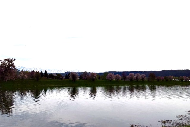 20240505_160913_Original