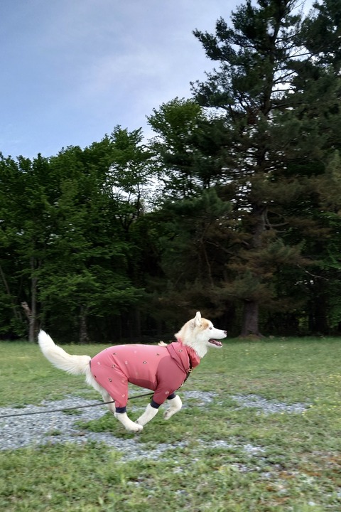 20240520_170401_Original