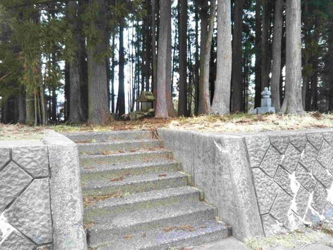 IMG_20240204_115015a