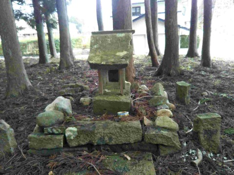 IMG_20240204_115044a