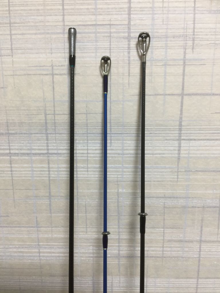 エギングロッド購入 やっぱ1度使ってみたかったアイツに りゅうのじ の Life Is A Carnival