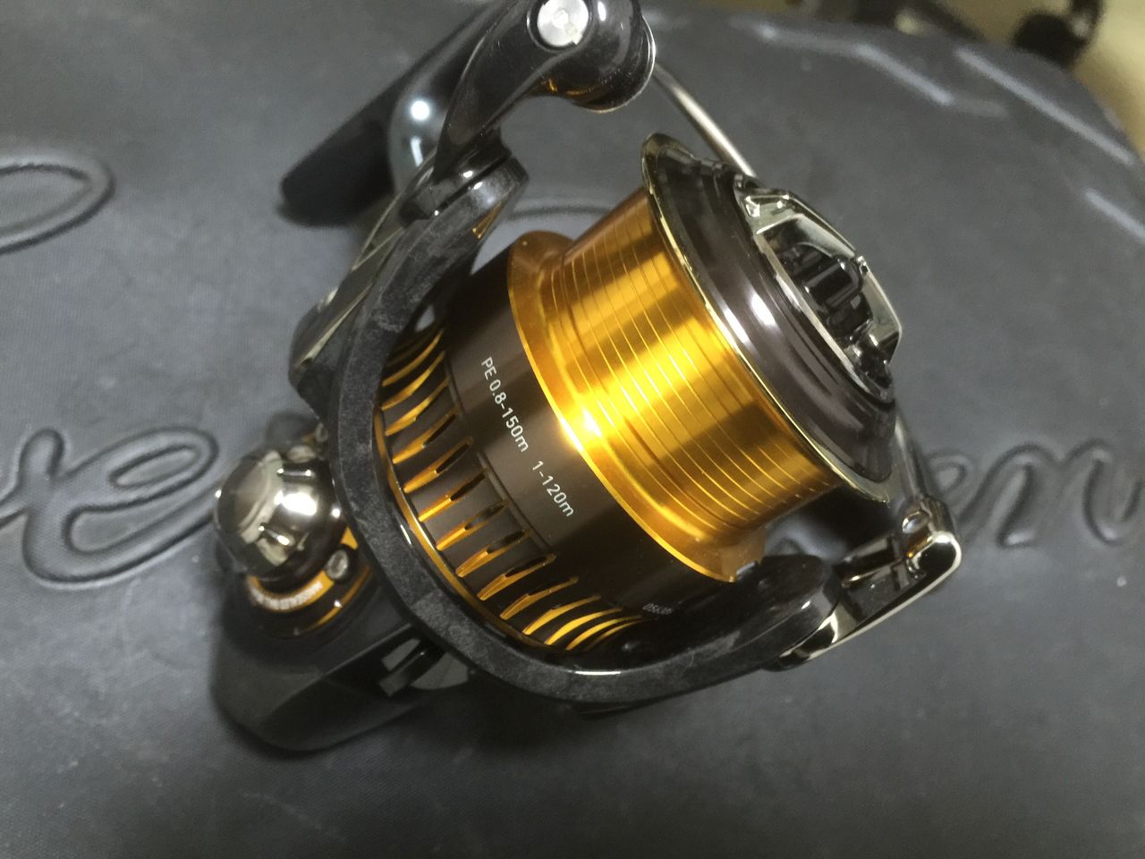 エギングリール新調 16セルテート2508pe りゅうのじ の Life Is A Carnival