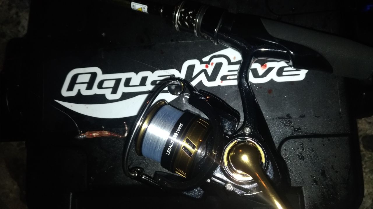 18レガリス筆おろし シャローアジングにて りゅうのじ の Life Is A Carnival