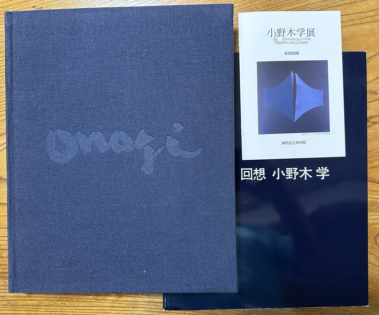 小野木学作品集 : Adam isn't here