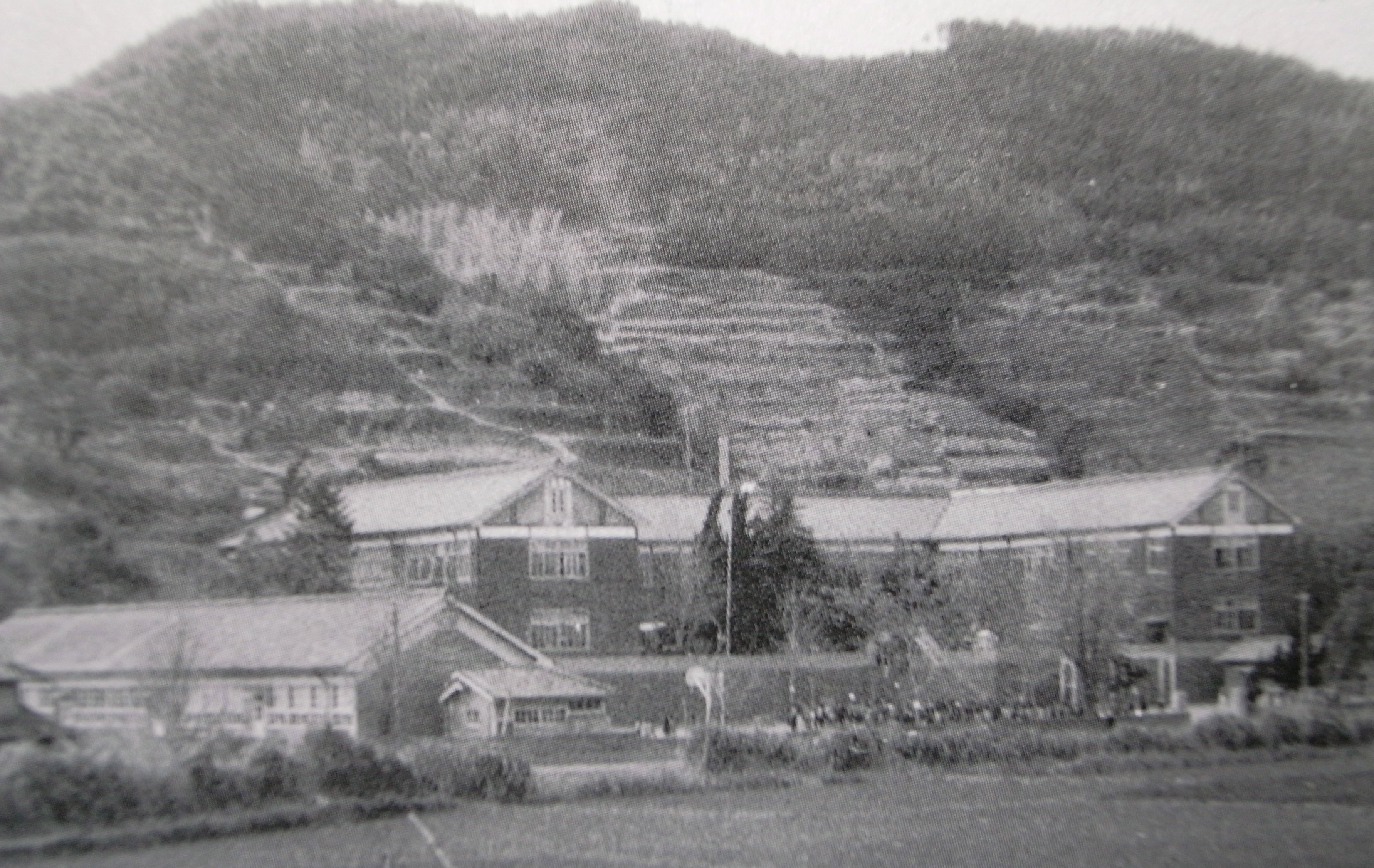 木造校舎 Adam Isn T Here