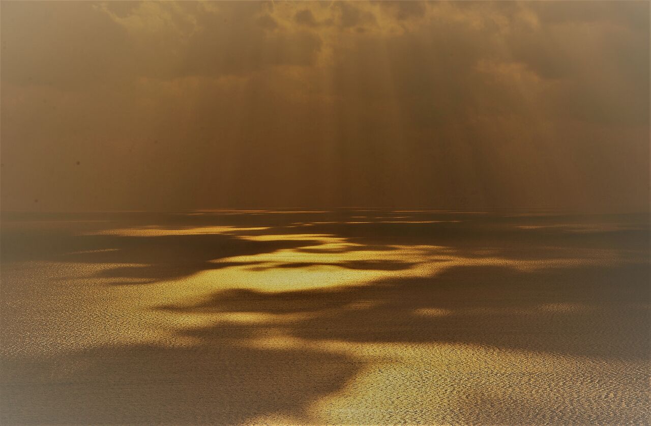 お正月の風景 Adam Isn T Here お正月の風景 Adam Isn T Here