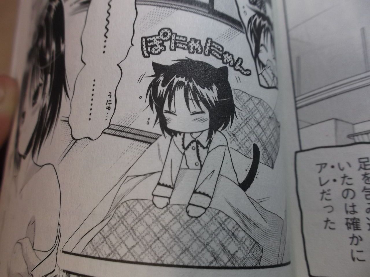 漫画紹介 高校生以下は観覧しないでください 藤桜日記