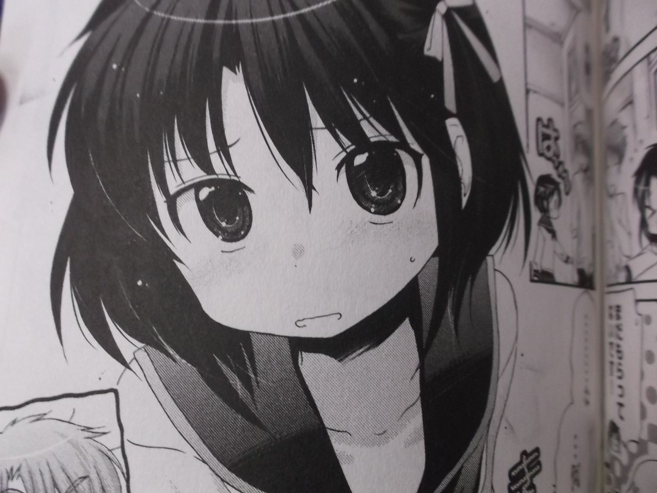 漫画紹介 高校生以下は観覧しないでください 藤桜日記