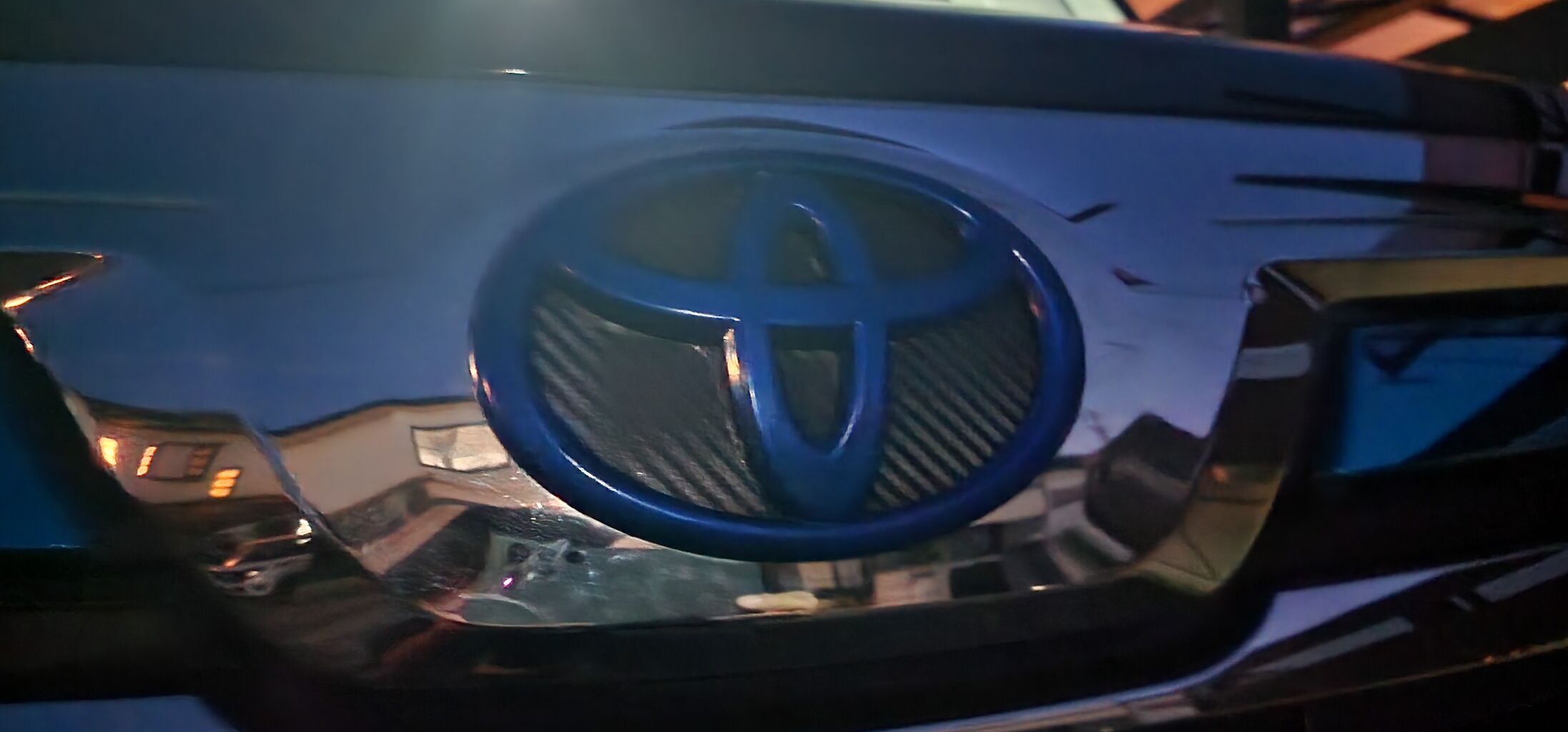 エンブレム塗装 藤桜日記