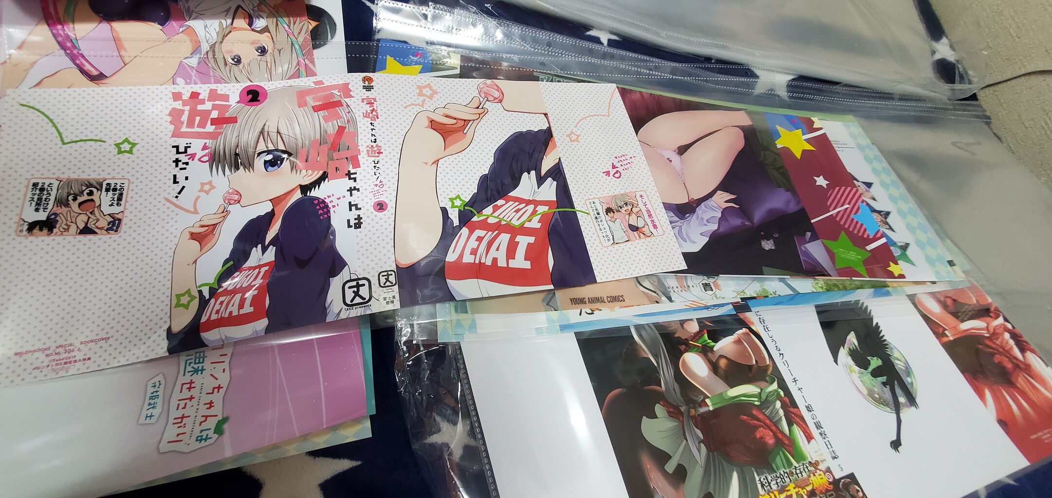 漫画特典のブックカバー保存方法 藤桜日記