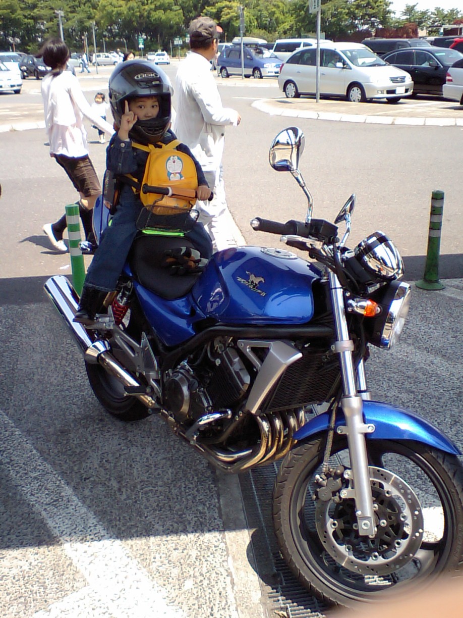 自転車用バック バイクで流用