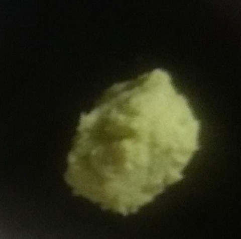 wasabi