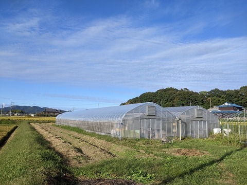 22年完了（30圧）