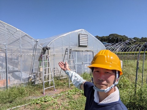 21年張り替え（30圧）