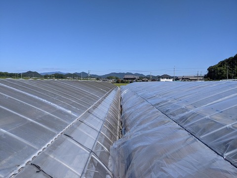 21年張り替え後（30圧）