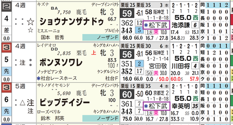 ビップデイジー（２頭出し以上は「＊」で表示）