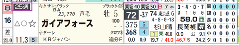 ガイアフォース(「追切指数」)