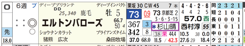 エルトンバローズ（２頭出し以上は「＊」で表示）