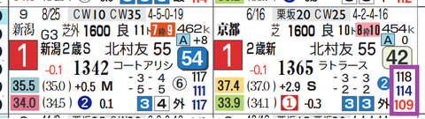 トータルクラリティ(新馬)