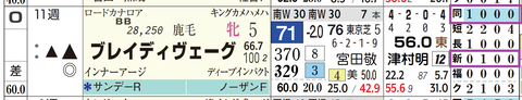 ブレイディヴェーグ（「距離実績」「コース実績」）
