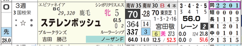 ステレンボッシュ（「距離実績」）