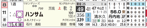 ハンサム（予想人気）