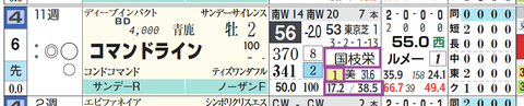 コマンドライン（国枝厩舎）