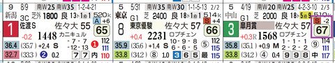 ライヒスアドラー（皐月賞）