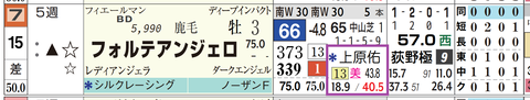 フォルテアンジェロ(上原佑厩舎)