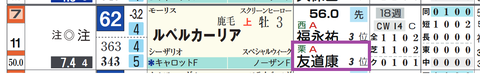 ルペルカーリア(友道厩舎)