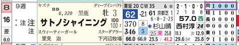 サトノシャイニング(「距離実績」)
