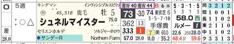 シュネルマイスター（「追切指数」）