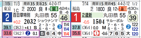 ホウオウガイア（百日草特別）
