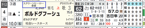 ボルドグフーシュ（スクリーンヒーロー産駒）